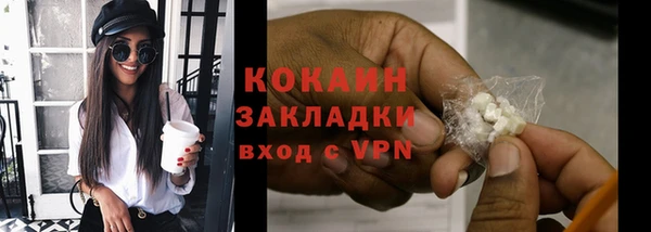 сатива Костерёво