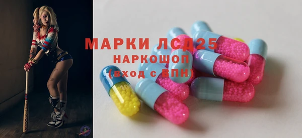 ГАЛЛЮЦИНОГЕННЫЕ ГРИБЫ Корсаков