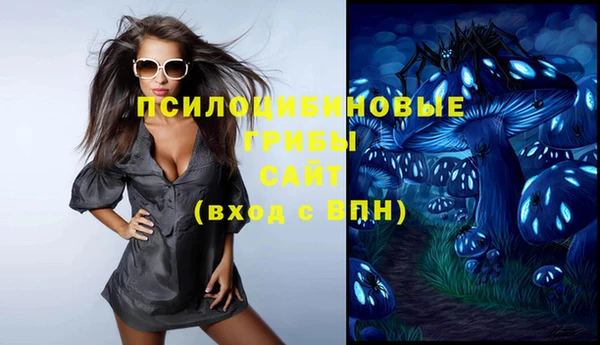 ГАЛЛЮЦИНОГЕННЫЕ ГРИБЫ Корсаков