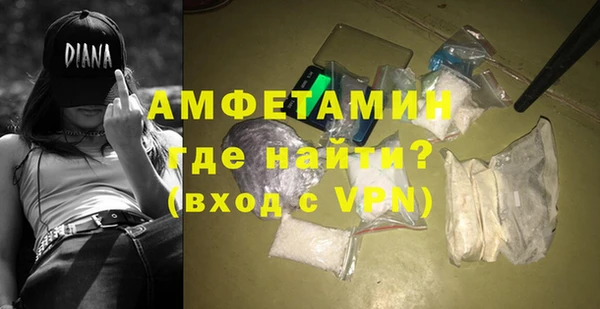 сатива Костерёво